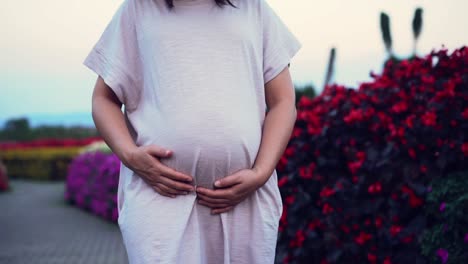 Mujer-Embarazada-Feliz-Y-Esperando-Un-Bebé-En-Casa.