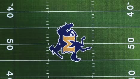대학 볼 경기장 (mcneese university green grass field) 의 공중 촬영