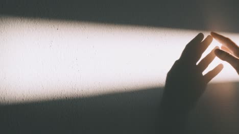 a shadow of an hand on the wall, streak of sunlight on white wall and hand playing with it creating shadows