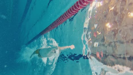 swimming competition underwater view