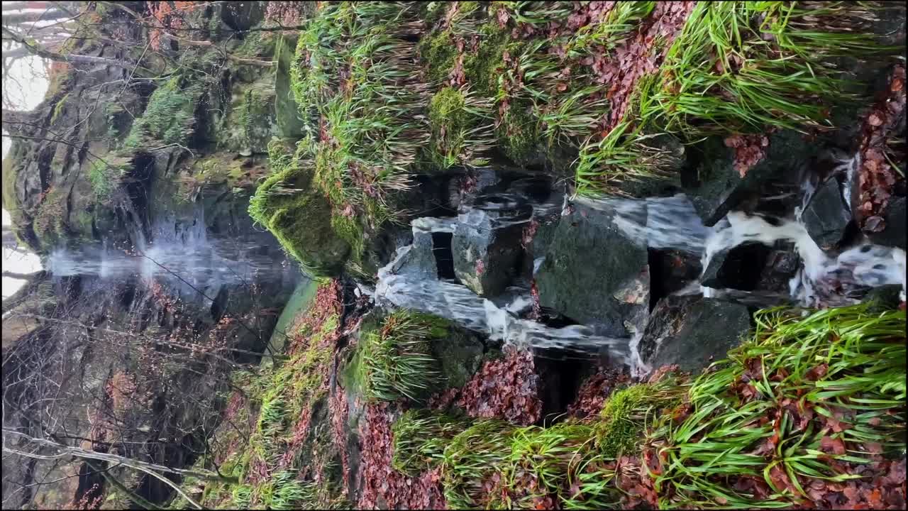 toma vertical de una pequeña cascada fuera de un sendero para caminatas en escocia