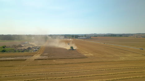 combine harvester works the farm in a golden, dusty field on a sunny day, drone aerial