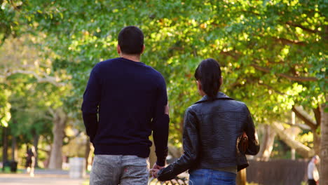 young hispanic couple walking in brooklyn park, back view