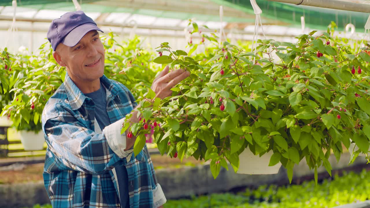 온실에서 식물을 감독하는 동안 클립보드에 쓰는 정원사