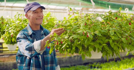 園丁在溫室中監督植物時寫在剪貼板上