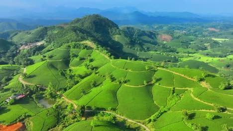 aerial drone captures rolling green hills, curving farmland, scattered trees, and winding paths under clear blue skies with distant mountain ranges on the horizon.