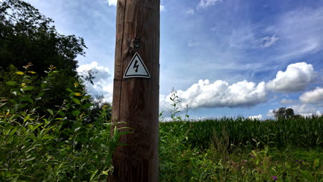 closeup shot of high voltage sign mounted on bark of a tree in a field