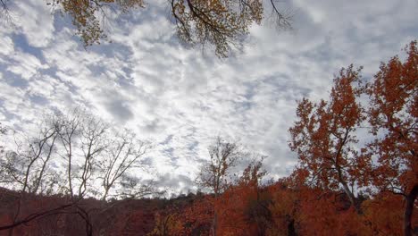 A-brisk-wind-blows-the-clouds-along-and-shakes-the-limbs-of-the-trees-and-their-colorful-fall-foliage,-Sedona,-Arizona