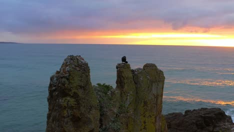 pluma de acicalamiento de aves acuáticas en la parte superior de las rocas de la catedral con vista panorámica de la puesta de sol y el paisaje marino