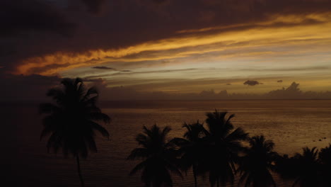 palm trees silhouetted against dramatic sunset at ostiones beach in puerto rico - luxury travel and romantic vacation concepts