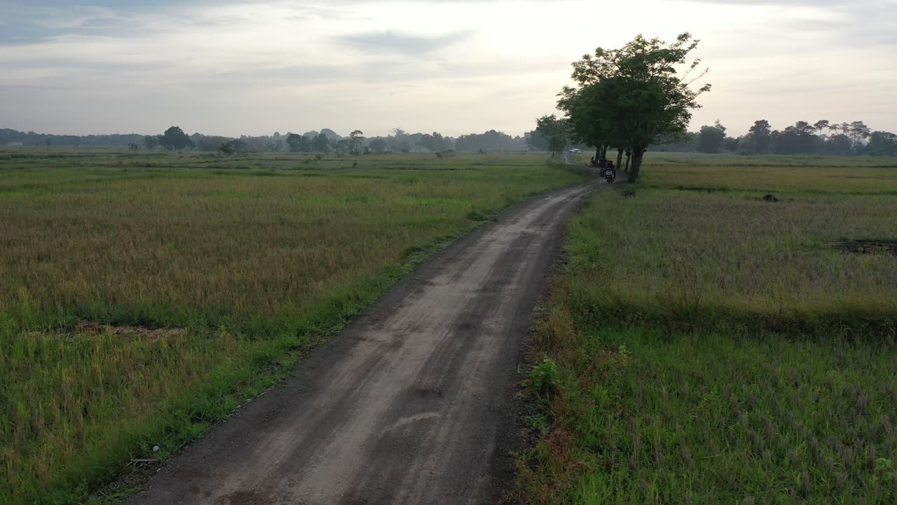 Rural Indonesian Landscape with Rice Paddies