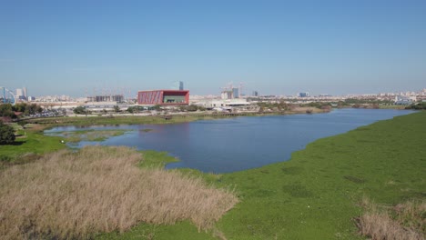 an artificial lake with grass around it and a commercial area next to it