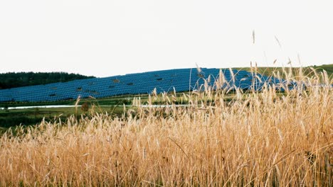 toma estática de una granja de paneles solares situada en la ladera de una colina mientras los rayos del sol aparecen y desaparecen