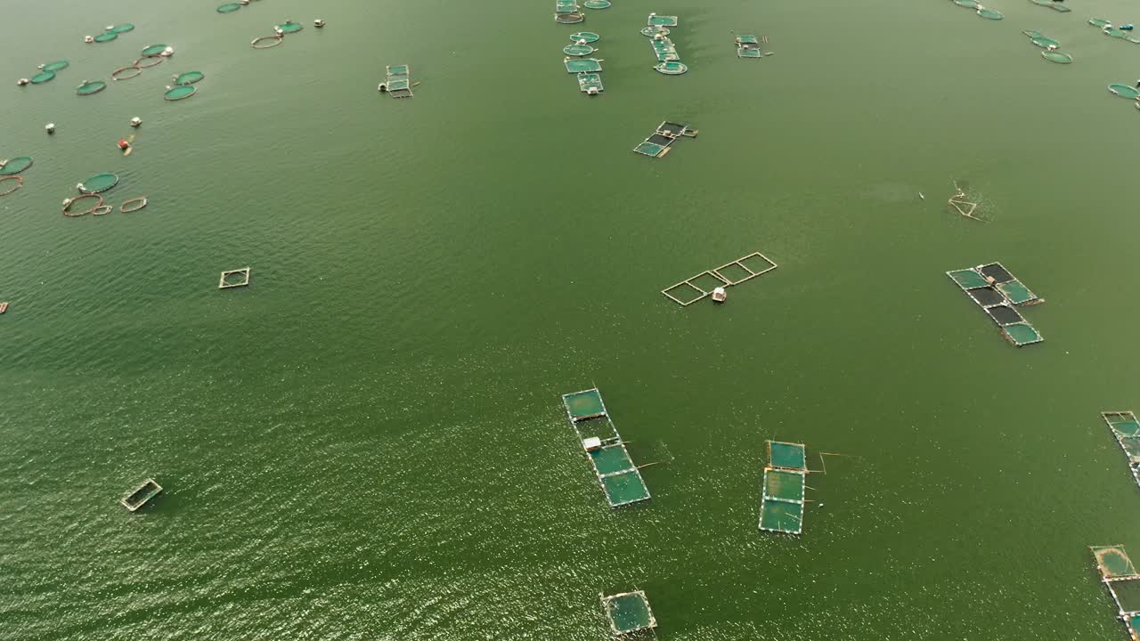 필리핀 타알 호수 (taal lake) 에 있는 생선 농장.