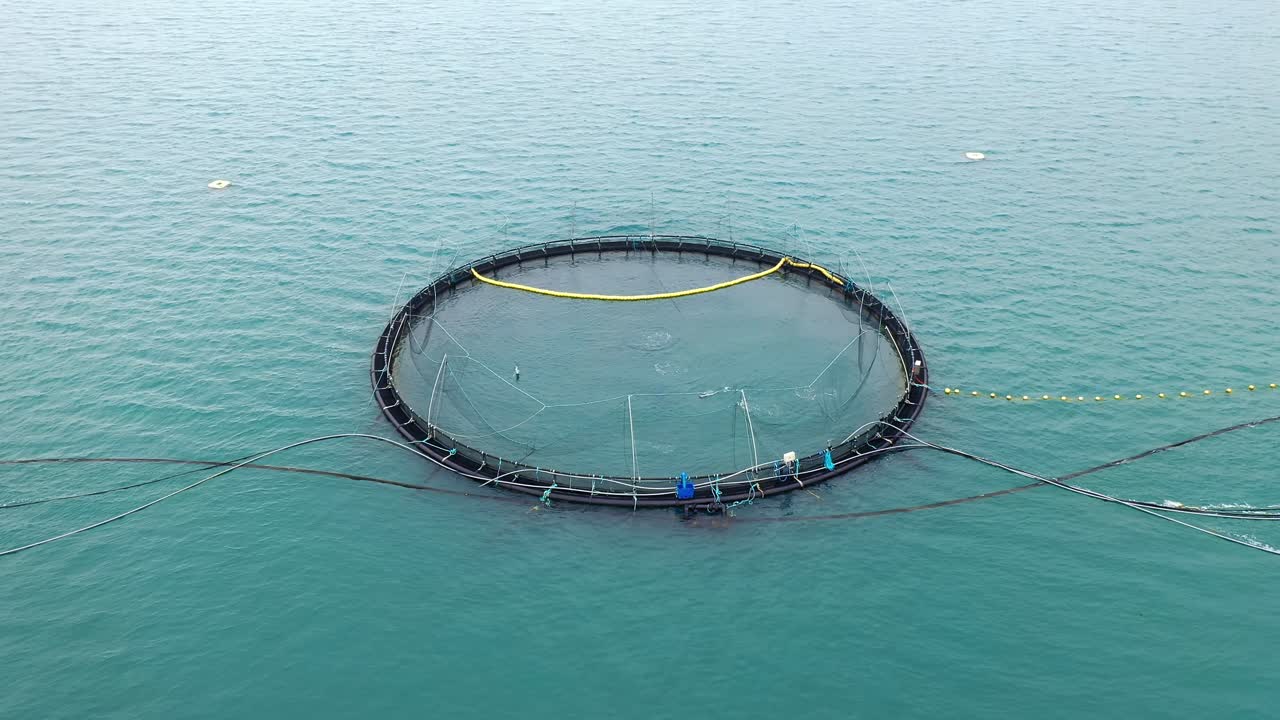 노르웨이에서 연어  ⁇ 시를 하는 공중 촬영