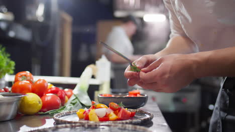 chef garnishing salad in restaurant kitchen