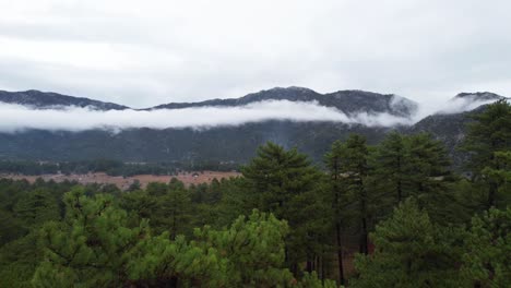 Aerial-drone-flying-above-treetops,-rises-reveal-large-flat-campsite-with-tents