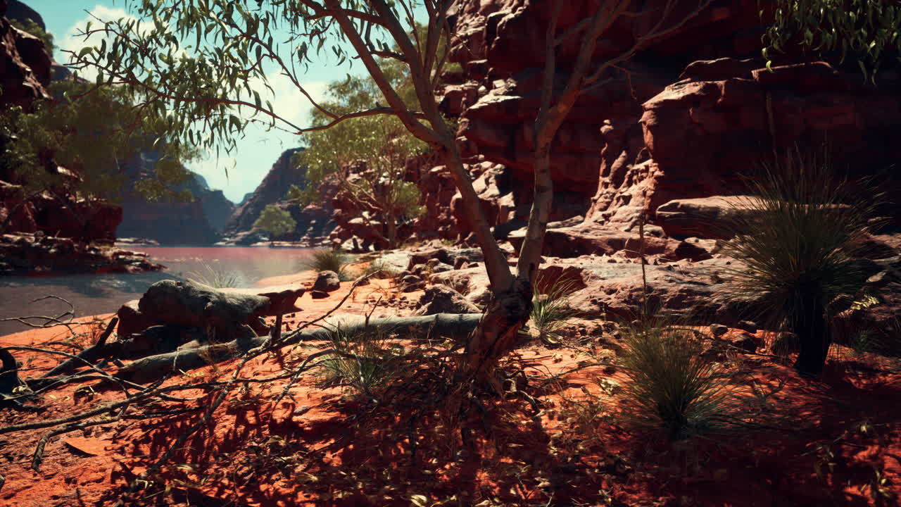 그랜드 캐니언의 콜로라도 강 근처의 나무들