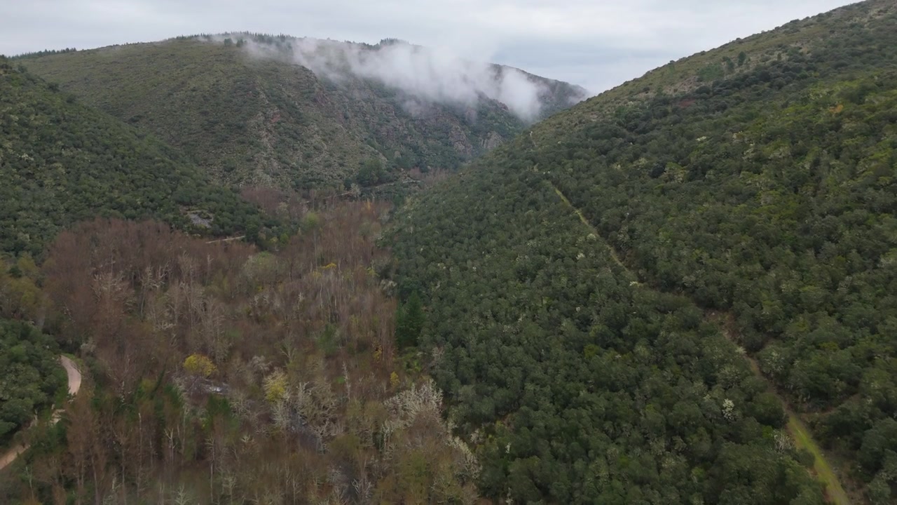 Vista aerea di una valle verde e nebbiosa, circondata da una fitta foresta e montagne, nel nord della Spagna in una nuvolosa mattina d'inverno