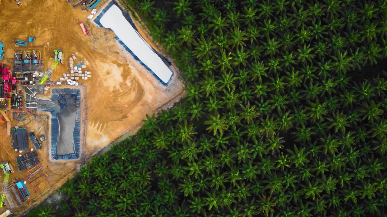 imágenes cinematográficas de drones de 4k de la estructura del equipo de la plataforma de perforación en tierra para la exploración y explotación de petróleo en medio de la jungla rodeada de palmeras durante la puesta de sol y el alto precio del petróleo