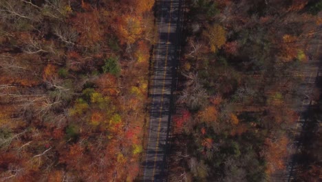 Blick-Aus-Der-Vogelperspektive-Auf-Zwei-Parallele-Pflasterstraßen-In-Einem-Herbstlichen-Kiefernwald