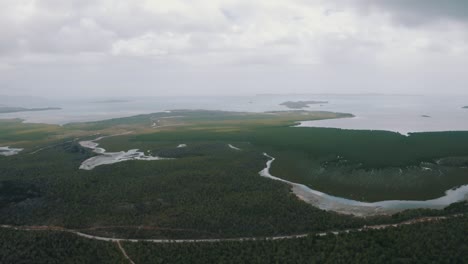 Beautiful-landscape-of-mangroves,-water-stream-and-sea-on-a-island-of-the-pacific-ocean