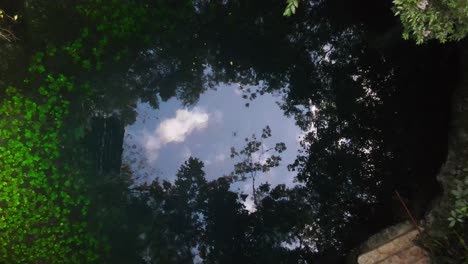 Cenote-En-Medio-De-La-Jungla-Vista-Desde-Arriba