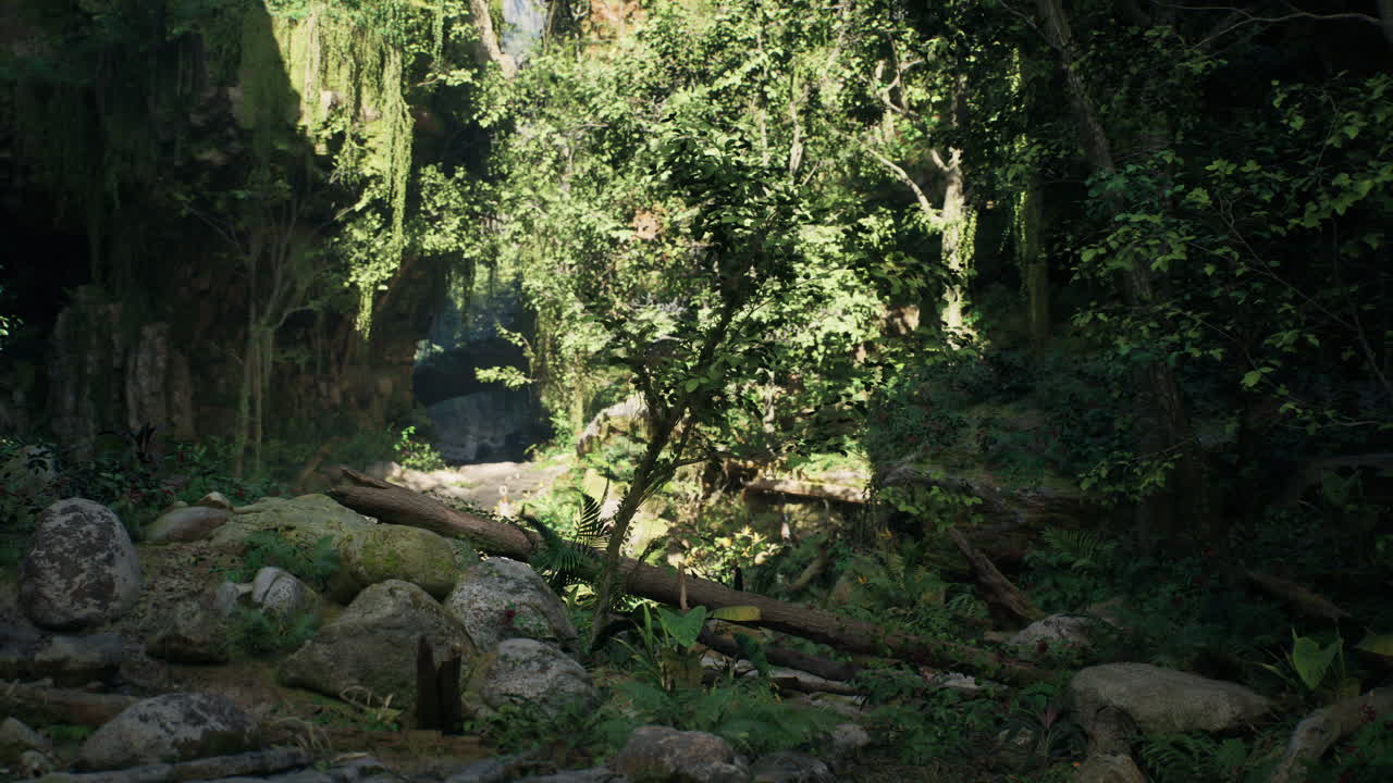울창한 정글을 가로지르는 신비한 길