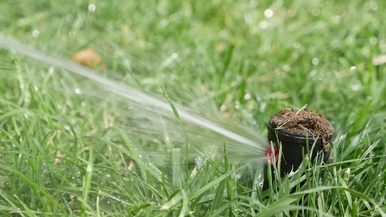 Watering the lawn with a sprinkler