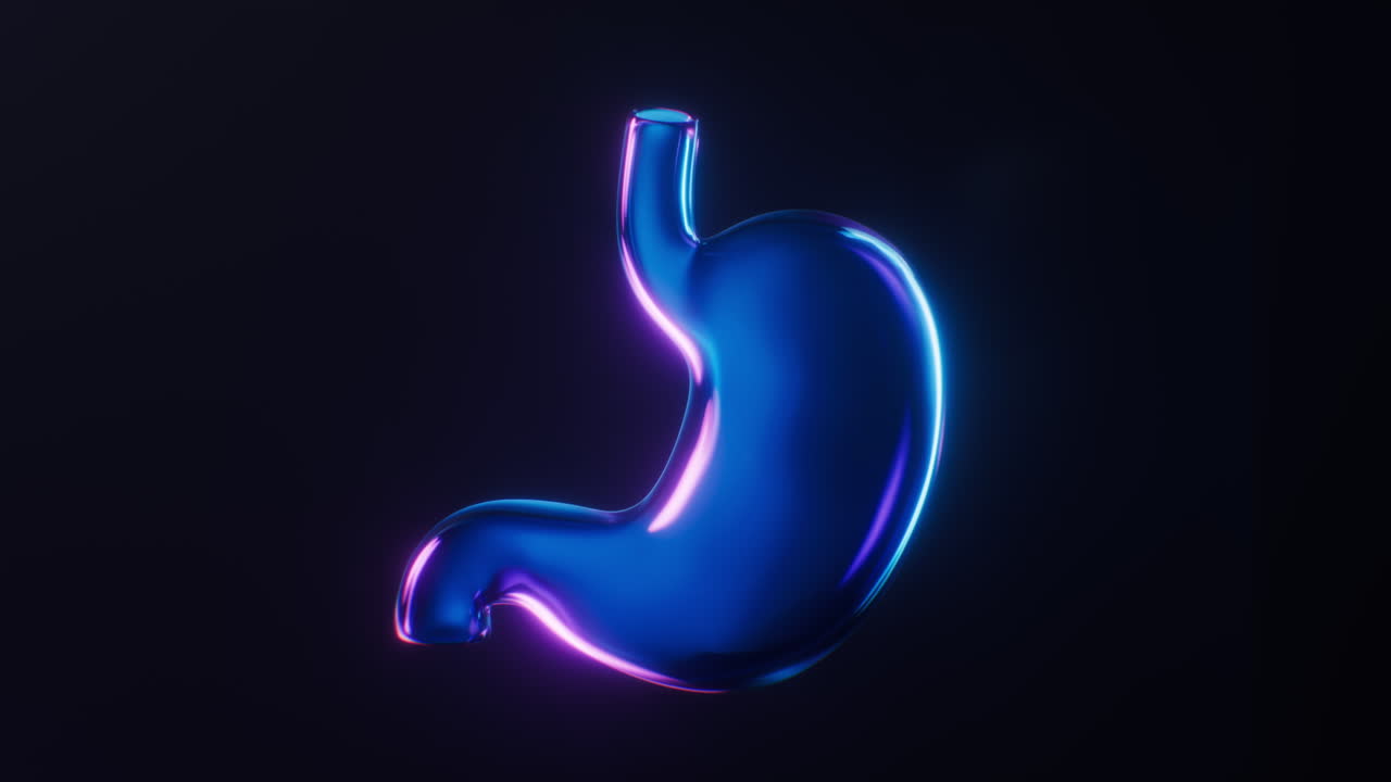 Loop animation of stomach with dark neon light effect, 3d rendering.