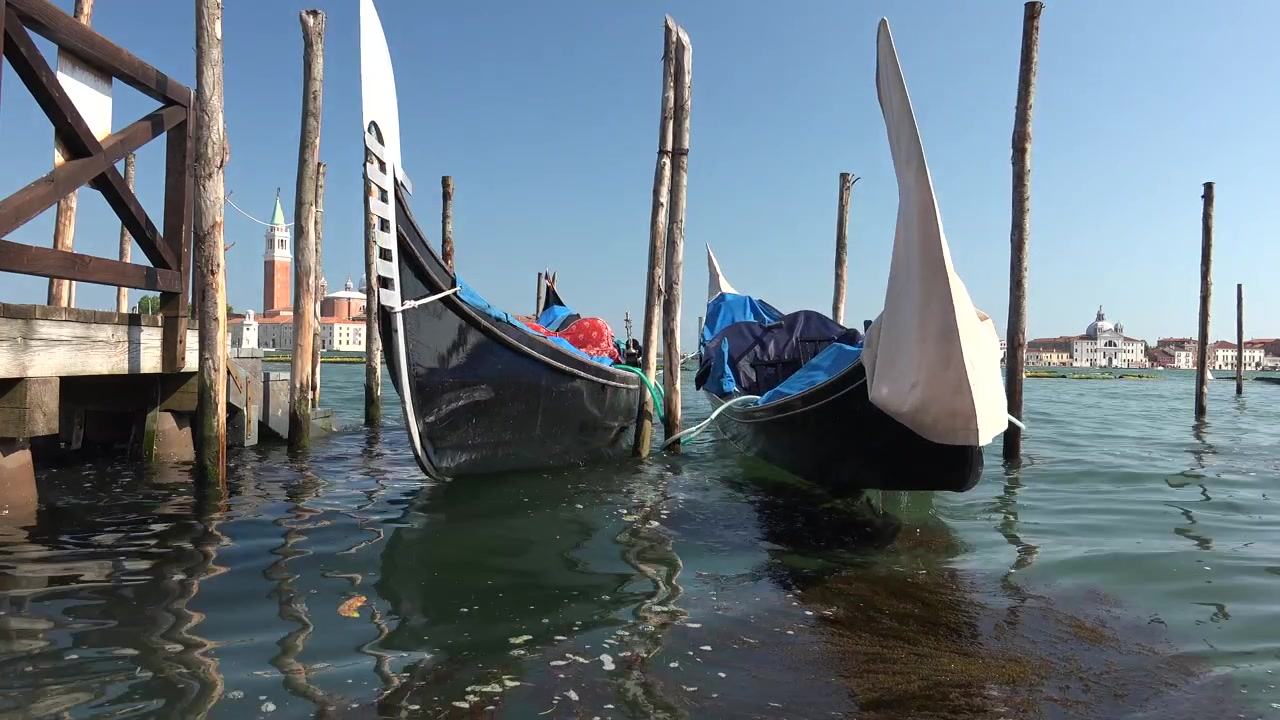 Gondole tradizionali ormeggiate a un molo a Venezia.