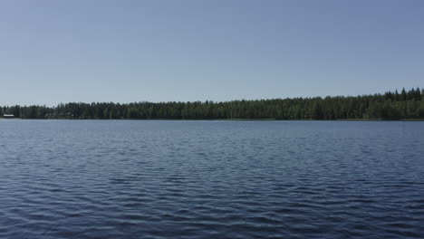 Ripples-on-surface-of-a-forest-lake.-Waves