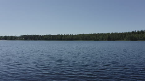 ripples on surface of a forest lake. waves