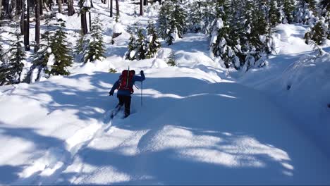 Mann-Schneeschuhwandern-Bergauf-Auf-Mount-Porter,-Vancouver-Island,-Kanada