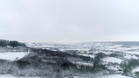 Tracking-back-aerial-of-an-English-valley-of-fields-with-a-dark-bare-and-thicketed-copse-of-trees-in-the-foreground