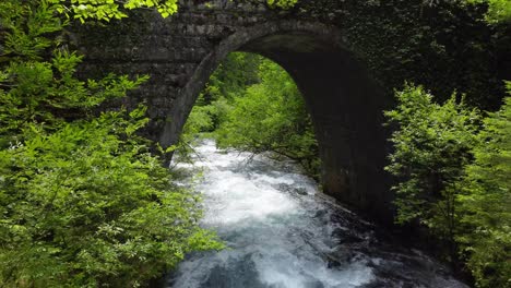 Antiguo-Puente-De-Piedra-Sobre-El-Río-En-Un-Exuberante-Bosque-Verde