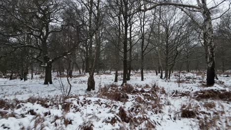 Drone-Low-Pull-Back-Shot-über-Gefrorenem-Boden-Im-Verschneiten-Wald-Epping-UK