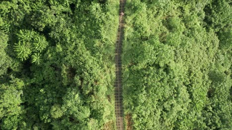 Woman-running-on-tropical-Campuhan-Ridge-in-Bali-with-square-tiles-as-path,-green-vegetation,-top-down-aerial