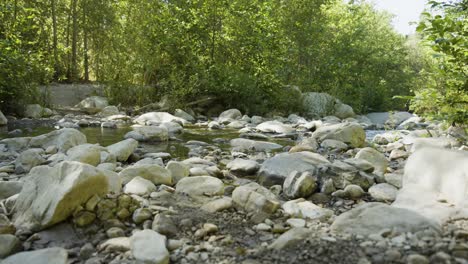 low-angle view of a rocky creek bed with shallow water trickling through sunlit stones, framed by dense green forest and soft natural light.