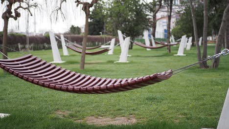 muchas hamacas en un parque tranquilo