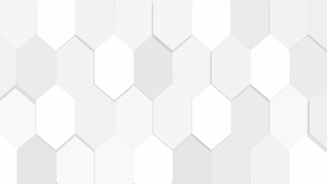 black and white geometric shape box seamless looping movement softly around can be use for background for kid education.