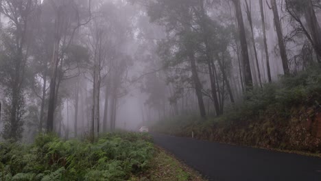 Car-travelling-through-Geehi-in-cloud,-Alpine-Way,-Kosciuszko-National-Park