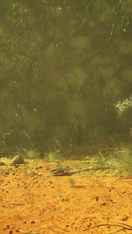 desert landscape with sparse vegetation and trees under a hazy sky