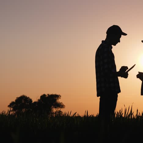 farmers shake hands in a picturesque spot on the field