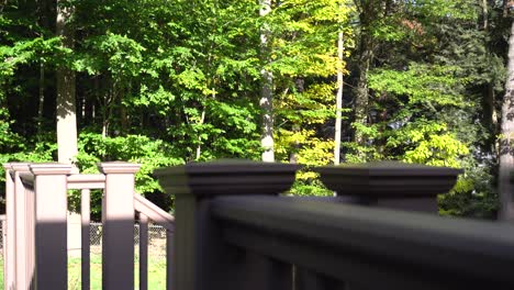 View of backyard Forest from a gorgeous patio style deck.