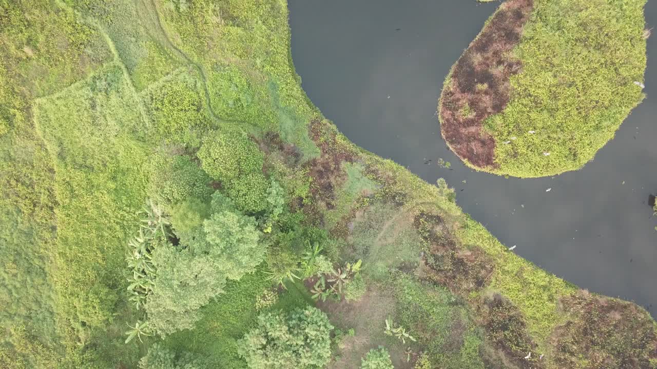 습지 풍경 의 공중 사진