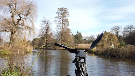 regents park london sunny winters day eagle statue in lake