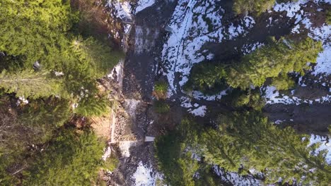 Luftaufnahme,-Die-Sich-Im-Winter-Auf-Einem-Von-Tannen-Umgebenen-Gebirgsfluss-Bewegt