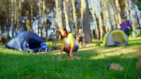 woman preparing bonfire in the forest on a sunny day 4k