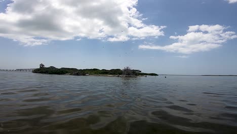 Pájaros-Volando-Sobre-Una-Isla,-Isla-De-Los-Pájaros-En-Holbox,-México